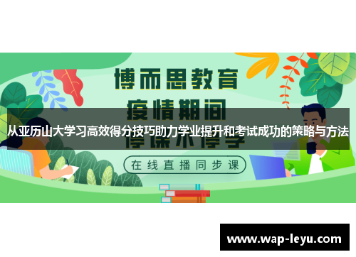 从亚历山大学习高效得分技巧助力学业提升和考试成功的策略与方法