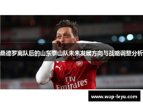 桑德罗离队后的山东泰山队未来发展方向与战略调整分析