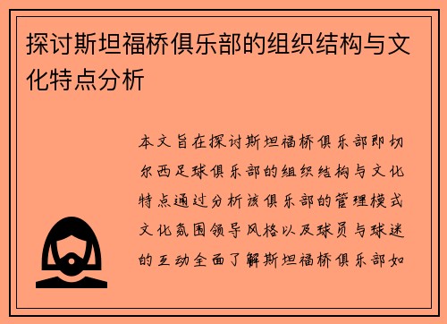 探讨斯坦福桥俱乐部的组织结构与文化特点分析