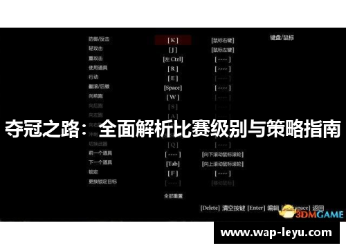 夺冠之路：全面解析比赛级别与策略指南