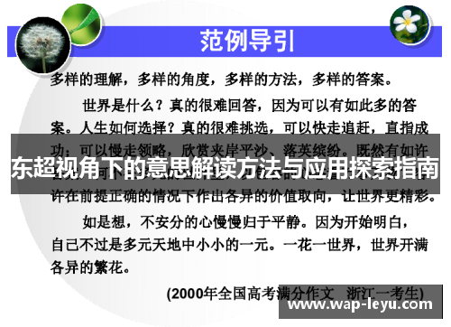 东超视角下的意思解读方法与应用探索指南