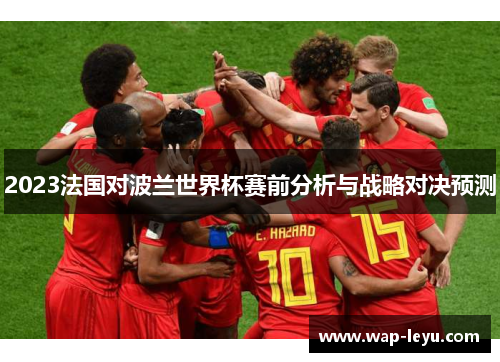 2023法国对波兰世界杯赛前分析与战略对决预测 2023法国对波兰世界杯赛前分析与战略对决预测