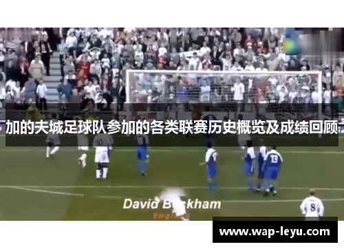 加的夫城足球队参加的各类联赛历史概览及成绩回顾 加的夫城足球队参加的各类联赛历史概览及成绩回顾